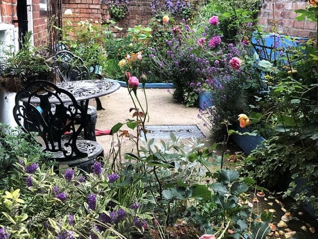 Community garden plot with diverse vegetables and plants